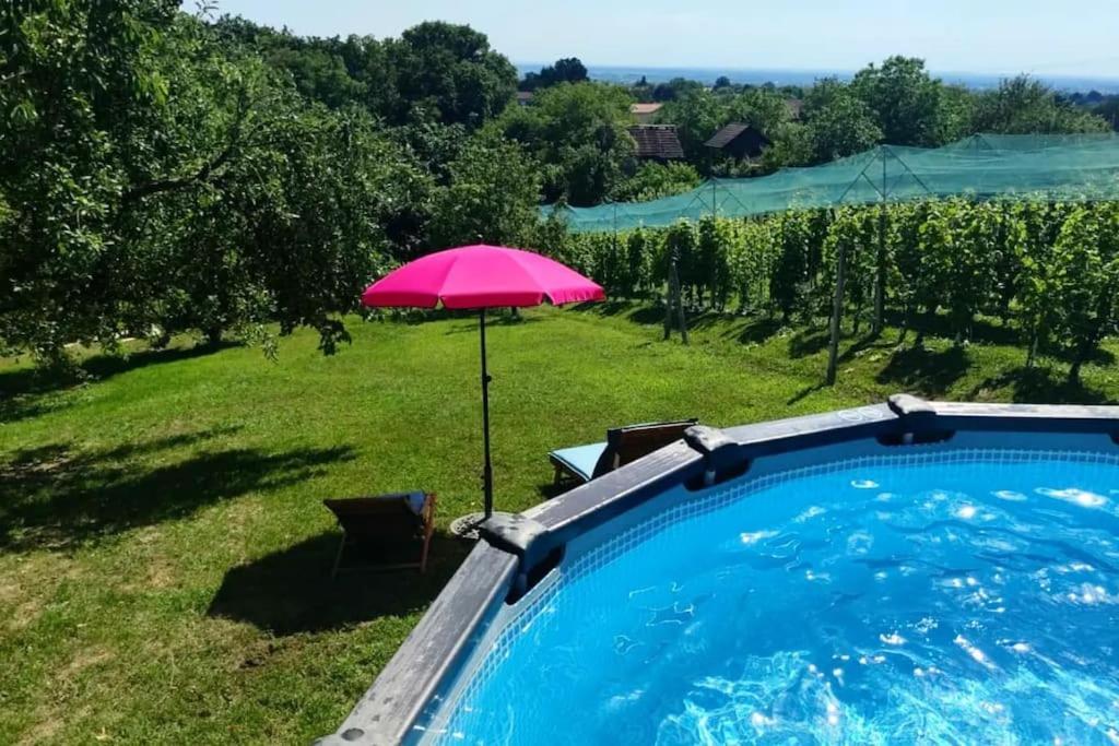 Kuca Za Odmor Villa Cesarica - Zagreb Graberje Ivanicko Экстерьер фото