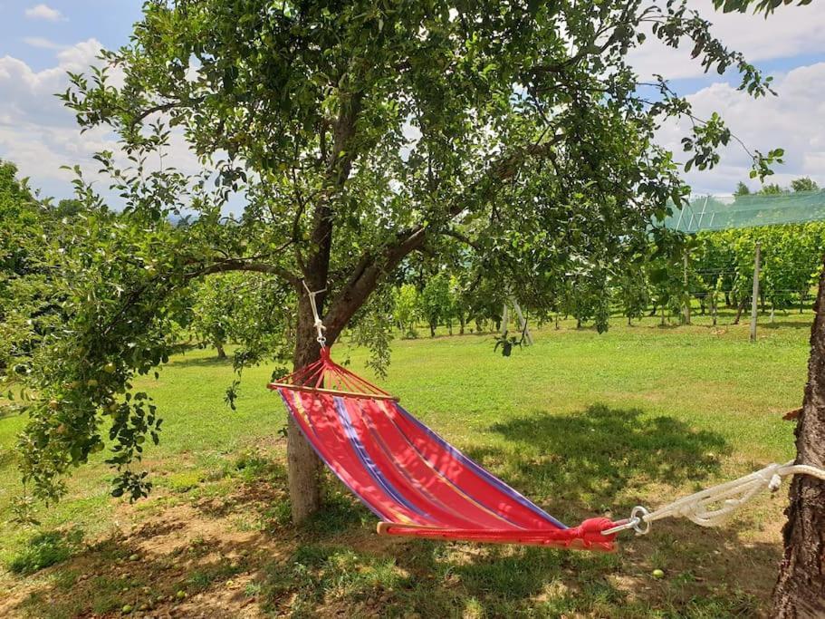Kuca Za Odmor Villa Cesarica - Zagreb Graberje Ivanicko Экстерьер фото